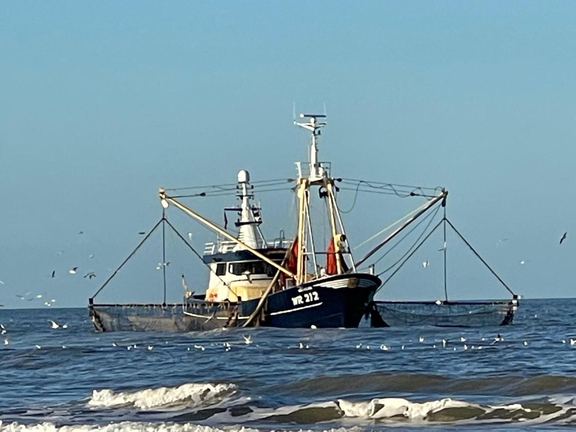 Cabin De Duinweg: Direct Aan Duin En Bos Noordwijk Exteriér fotografie
